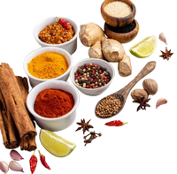 Indian Spices