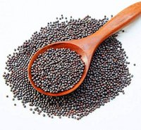 Oil Seeds