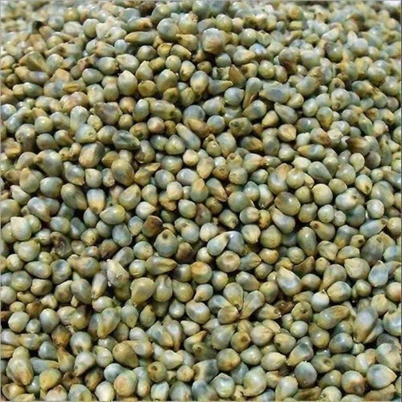 GREEN MILLETS