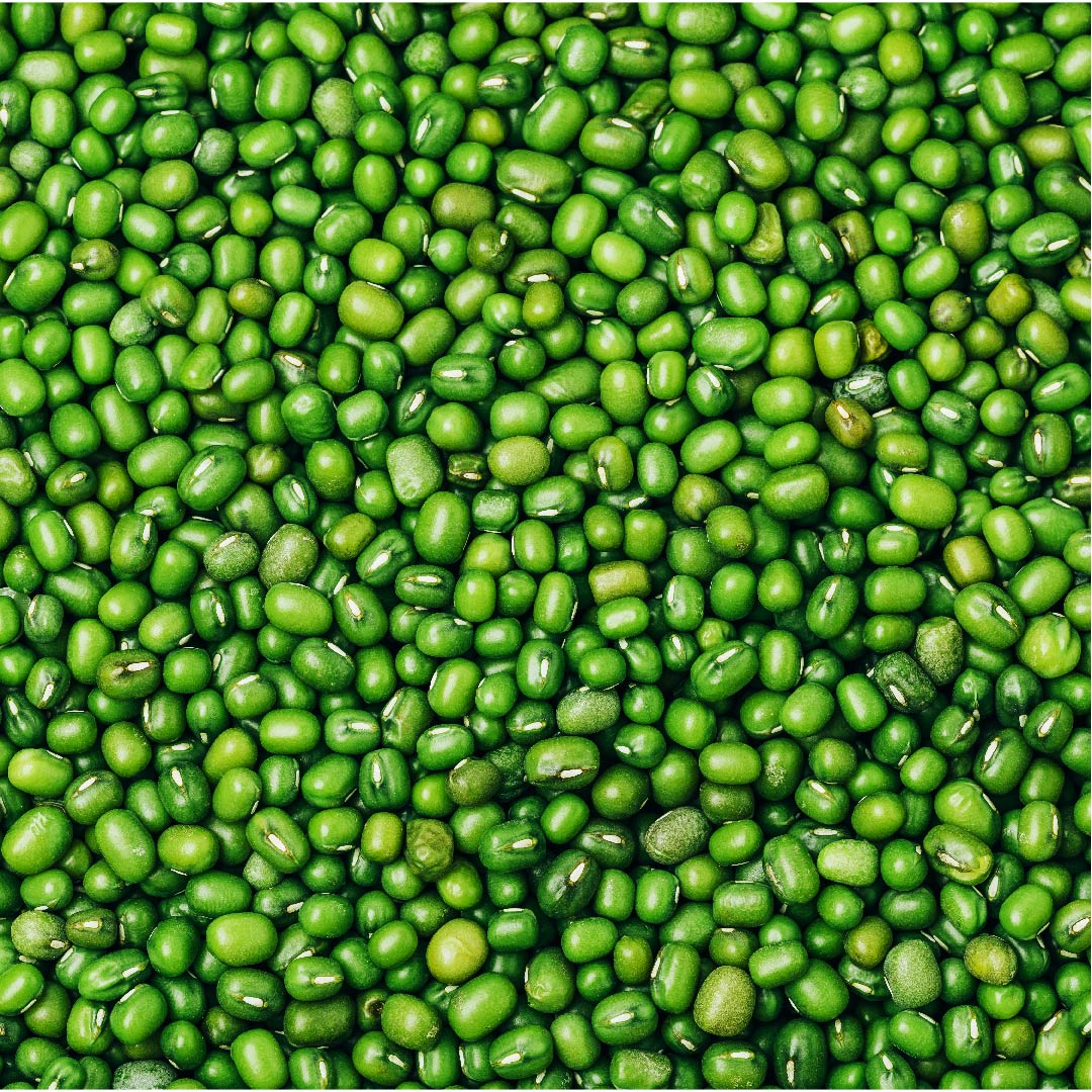 MUNG BEAN