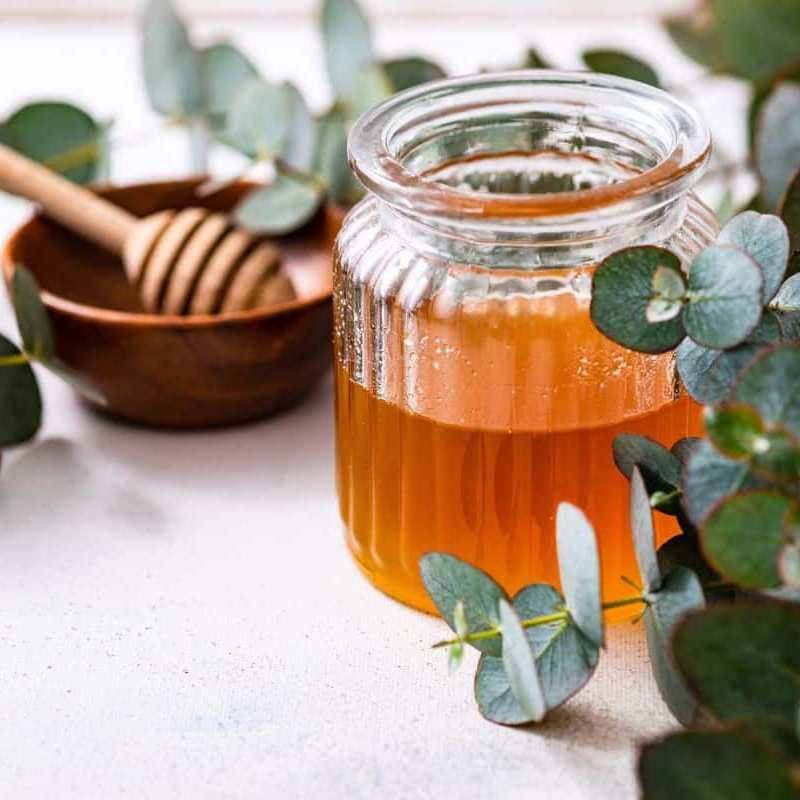 EUCALYPTUS HONEY