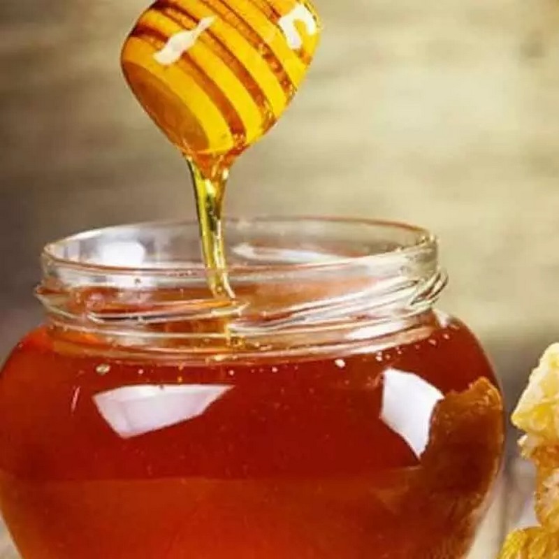 SUNDARBAN HONEY