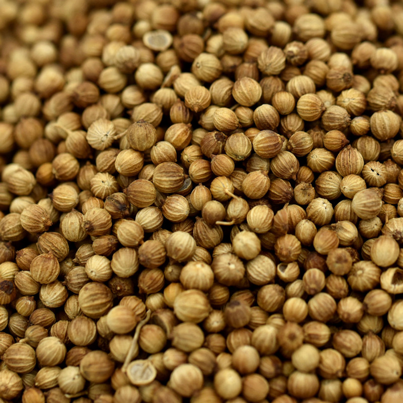 CORIANDER SEEDS