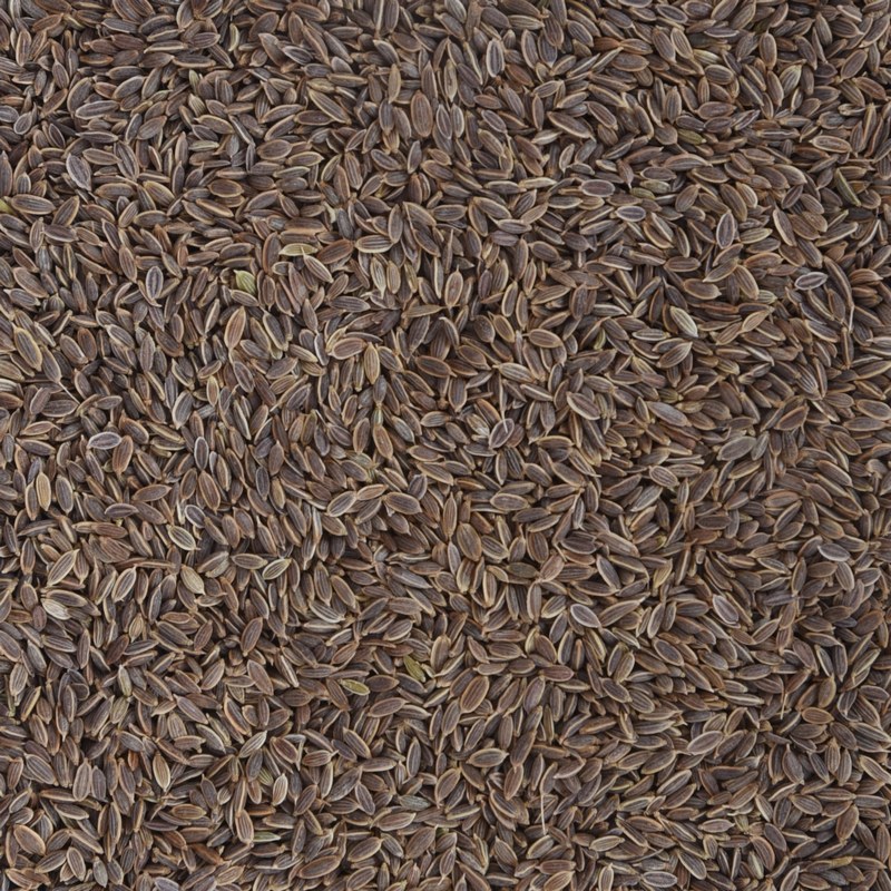 DILL SEEDS