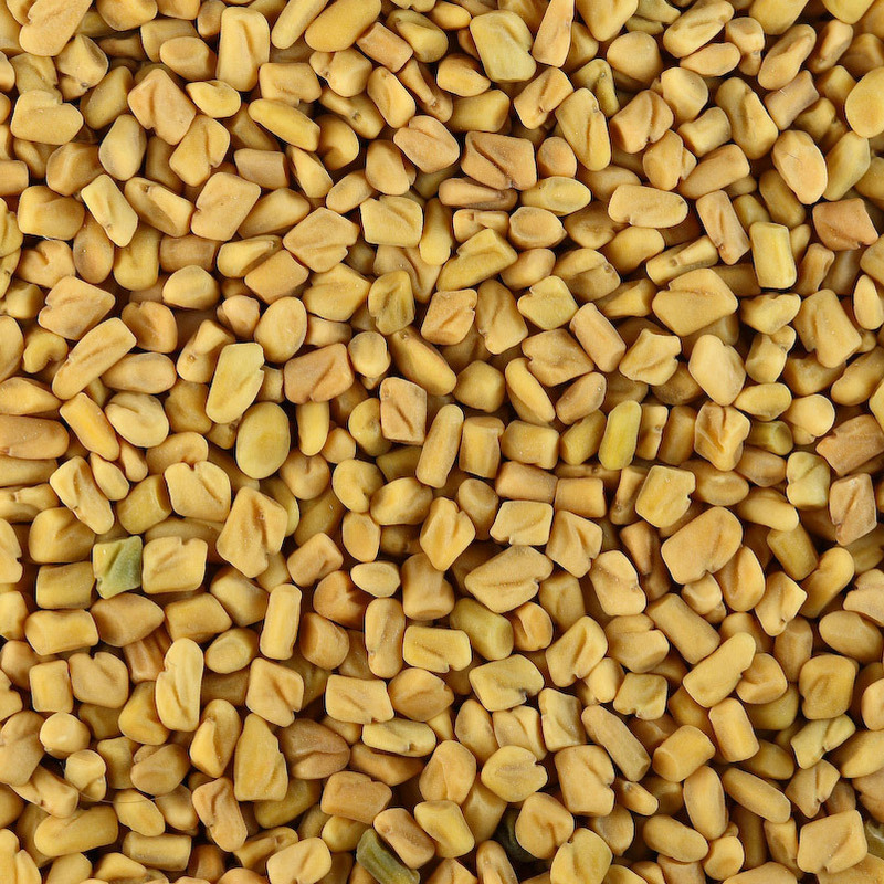 FENUGREEK SEEDS