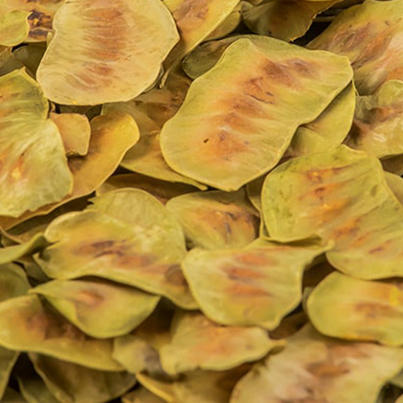 SENNA PODS