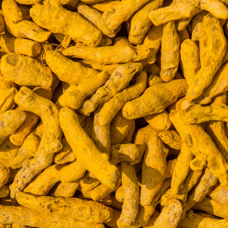 TURMERIC FINGER