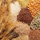 GRAINS & SPICES